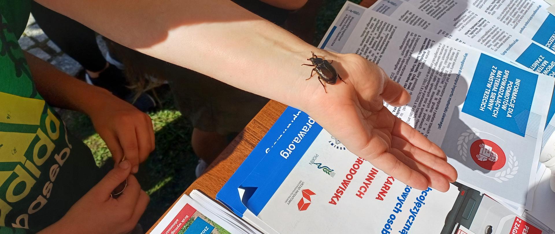 Dłoń dziecka na której znajduję się chrząszcz. Na stoliku leżą ulotki. 