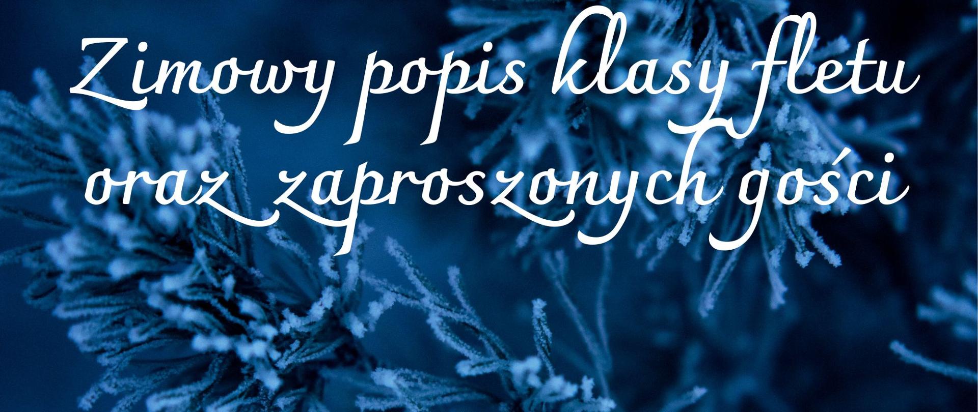 Plakat. Na tle ciemnego zdjęcia z oszronioną gałęzią świerkową widnieje biały napis. Zimowy popis klasy fletu i zaproszonych gości. Piątek 16 grudnia 2022r, godzina 18:30. Pałac Henryków 67-300 Szprotawa Henryków 70.