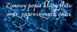 Plakat. Na tle ciemnego zdjęcia z oszronioną gałęzią świerkową widnieje biały napis. Zimowy popis klasy fletu i zaproszonych gości. Piątek 16 grudnia 2022r, godzina 18:30. Pałac Henryków 67-300 Szprotawa Henryków 70.