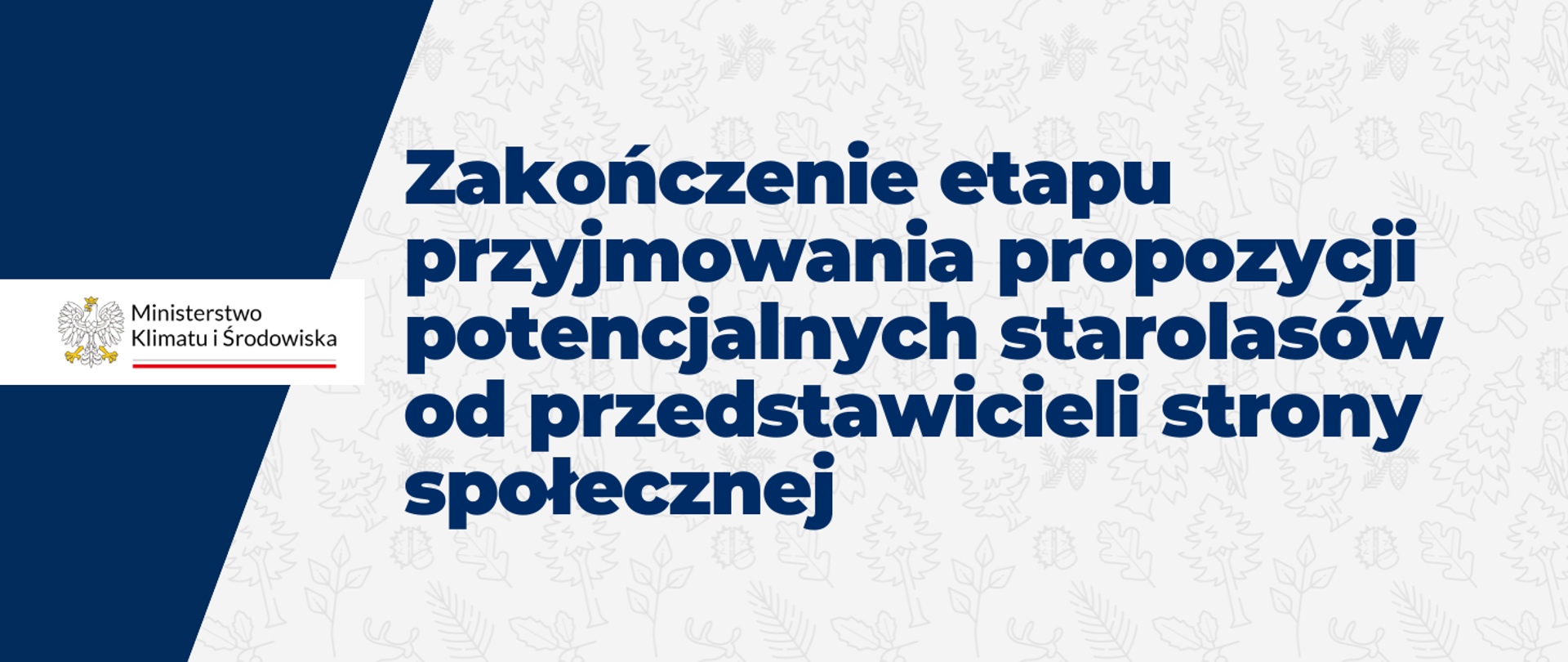 Zakończenie etapu przyjmowania propozycji potencjalnych starolasów od przedstawicieli strony społecznej