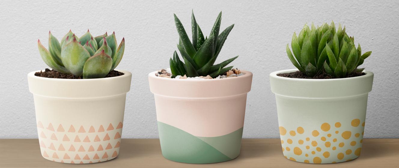 Sprowadzasz do Polski rośliny spoza Unii Europejskiej – poznaj zasady importu - Państwowa Inspekcja Ochrony Roślin i Nasiennictwa - Portal Gov.pl