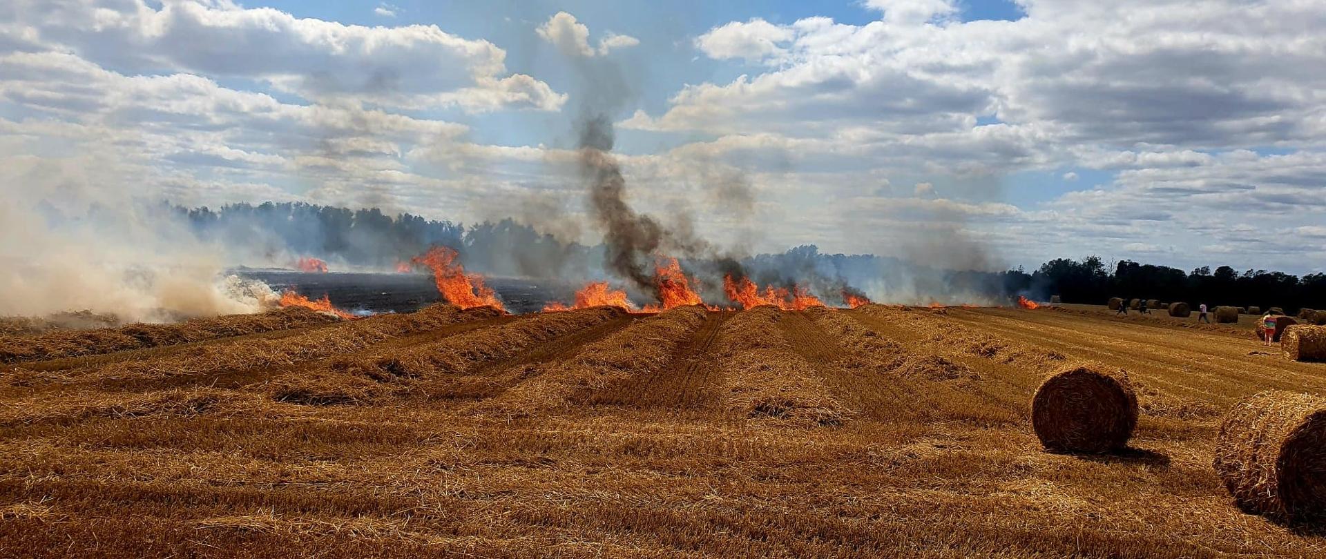 Widać pożar ścierniska, jest ogień 