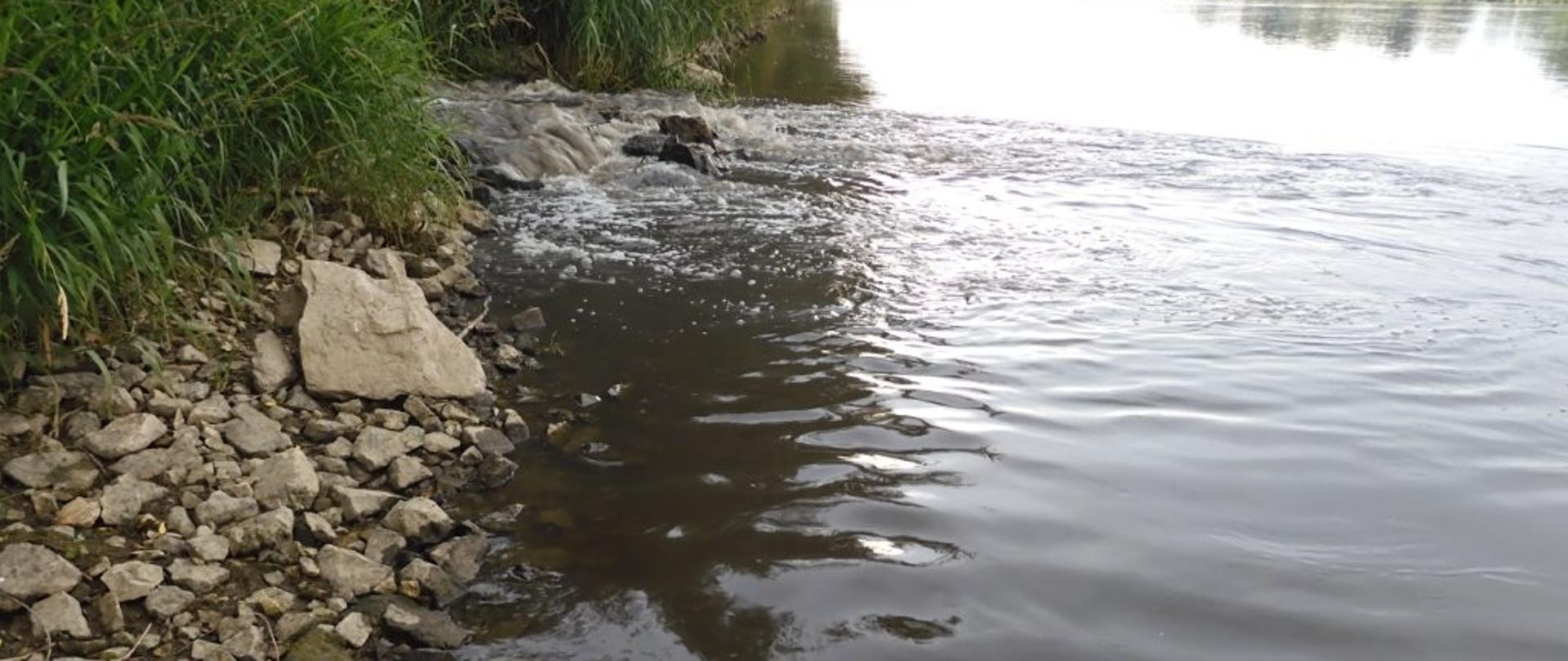 Widok miejsca zrzutu ścieków z oczyszczalni w Tarnobrzegu do rzeki Wisły