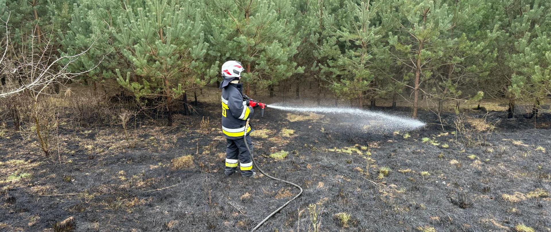 Strażak gasi pożar ściółki