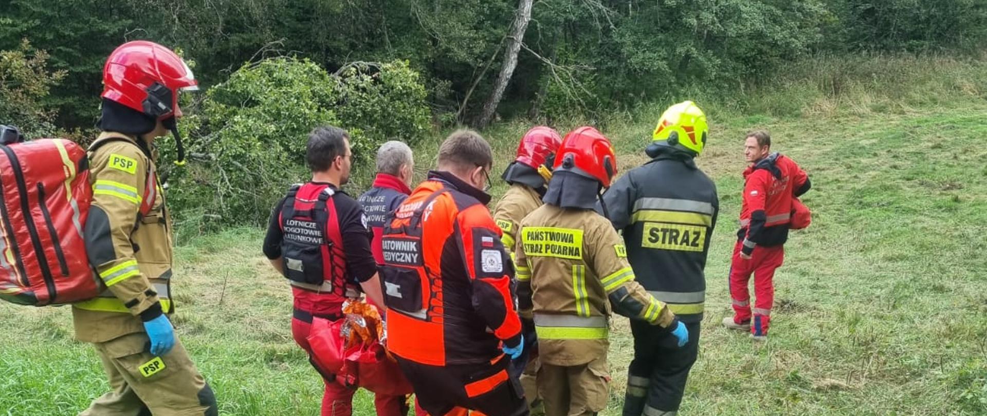 Ratownicy niosący poszkodowanego, ratownicy medyczni, ratownicy jednostek ochrony przeciwpożarowej, w tle pole.
