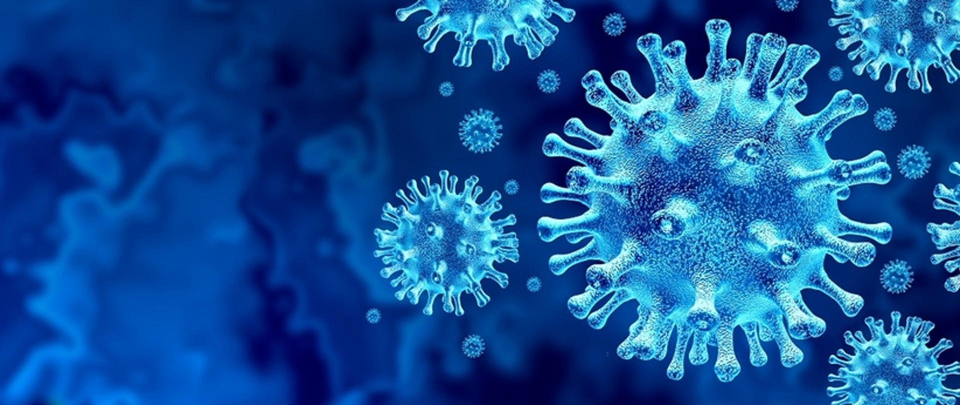 Grafika - koronawirus