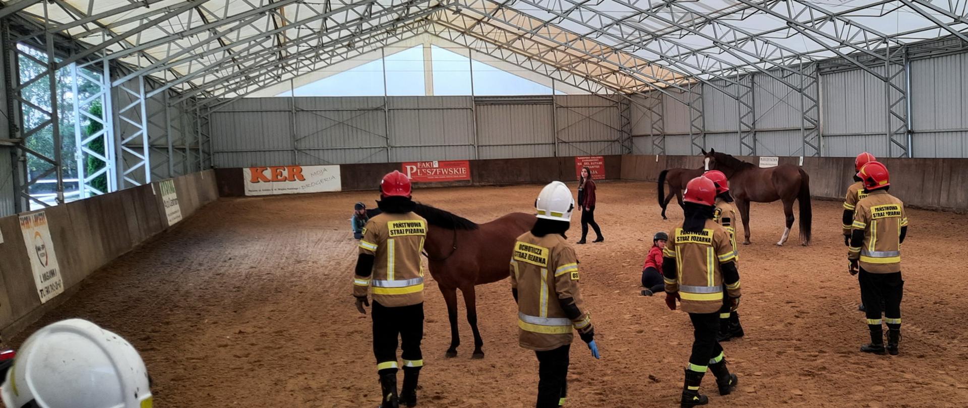 Hala jeździecka strażacy przeprowadzają ćwiczenia z ewakuacją koni