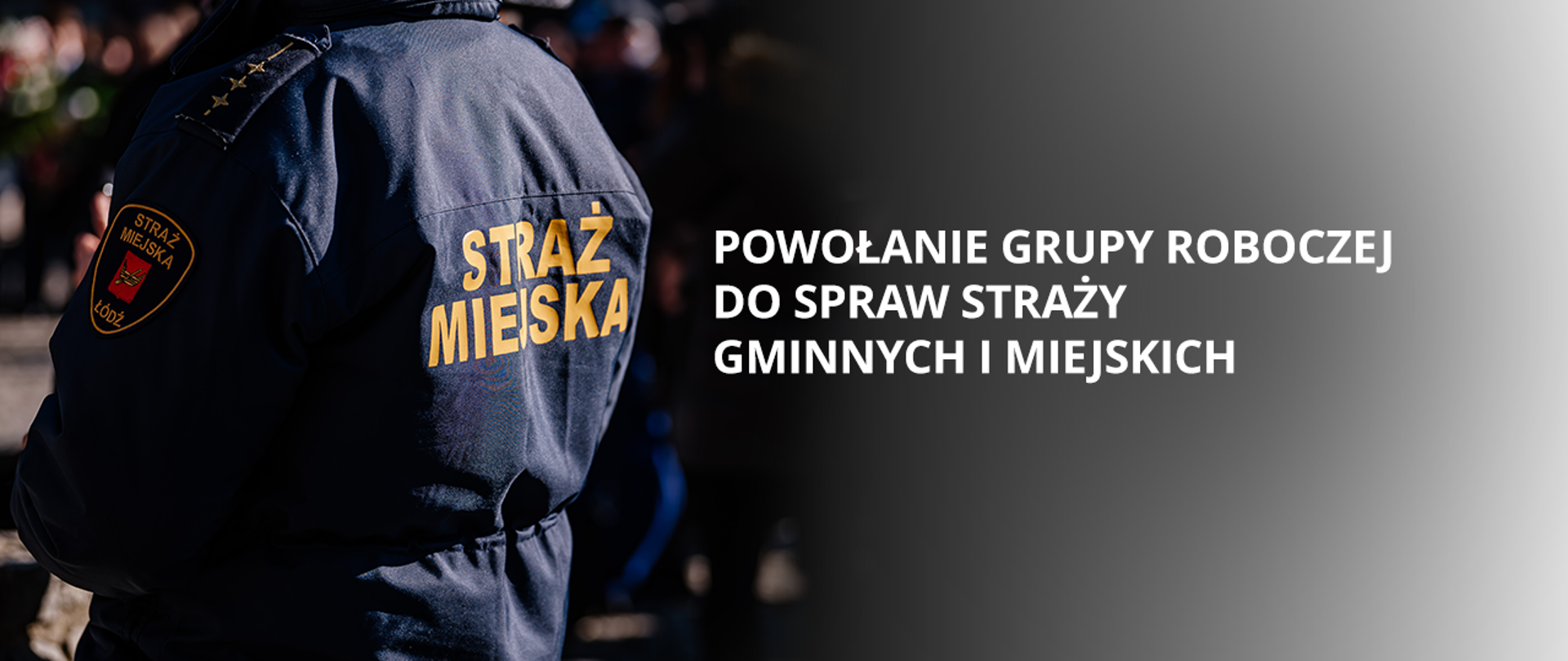 Powołanie grupy roboczej do spraw straży gminnych i miejskich