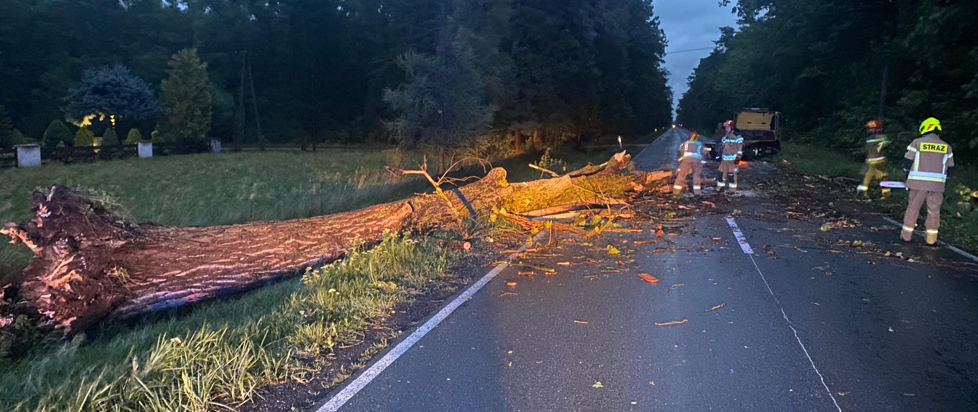 Zdjęcie przedstawia drogę podczas zmierzchu, na której leży duże powalone drzewo, częściowo blokując przejazd. Na jezdni i poboczu znajdują się połamane gałęzie oraz fragmenty roślin. W pobliżu drzewa pracuje kilku strażaków w odzieży ochronnej, a dalej na drodze stoi pojazd służbowy. Po obu stronach drogi rosną drzewa i znajduje się teren zielony. Strażacy zabezpieczają miejsce zdarzenia i usuwają przeszkodę z jezdni.