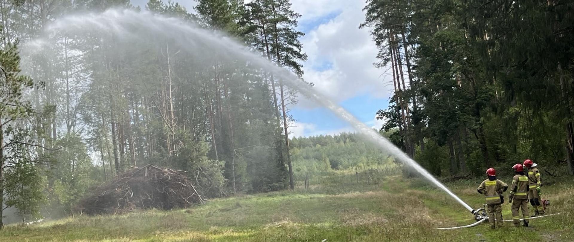 Ćwiczenia strażaków na terenie Leśnictwa Żednia