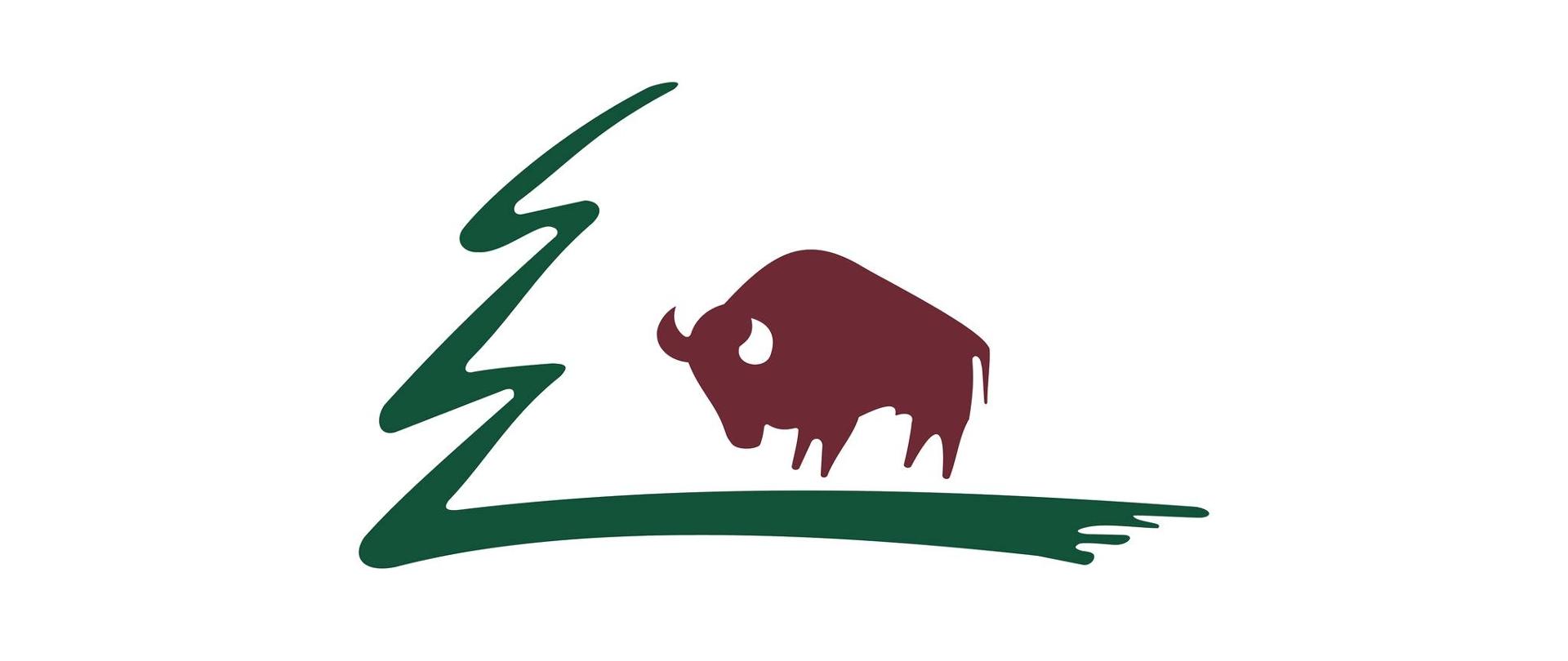 Brązowy żubr na białym tle. Z lewej zielony zarys drzewa świerk