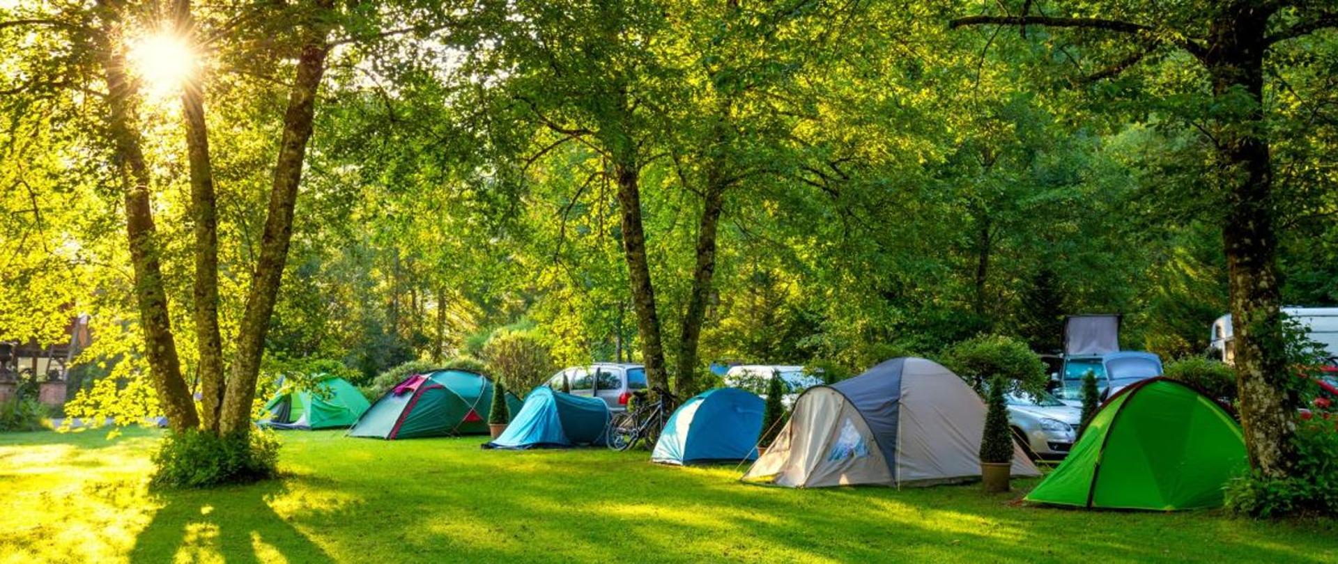 Zdjęcie przedstawiające ciąg namiotów ustawionych na porośniętej drzewami i trawą polanie. 