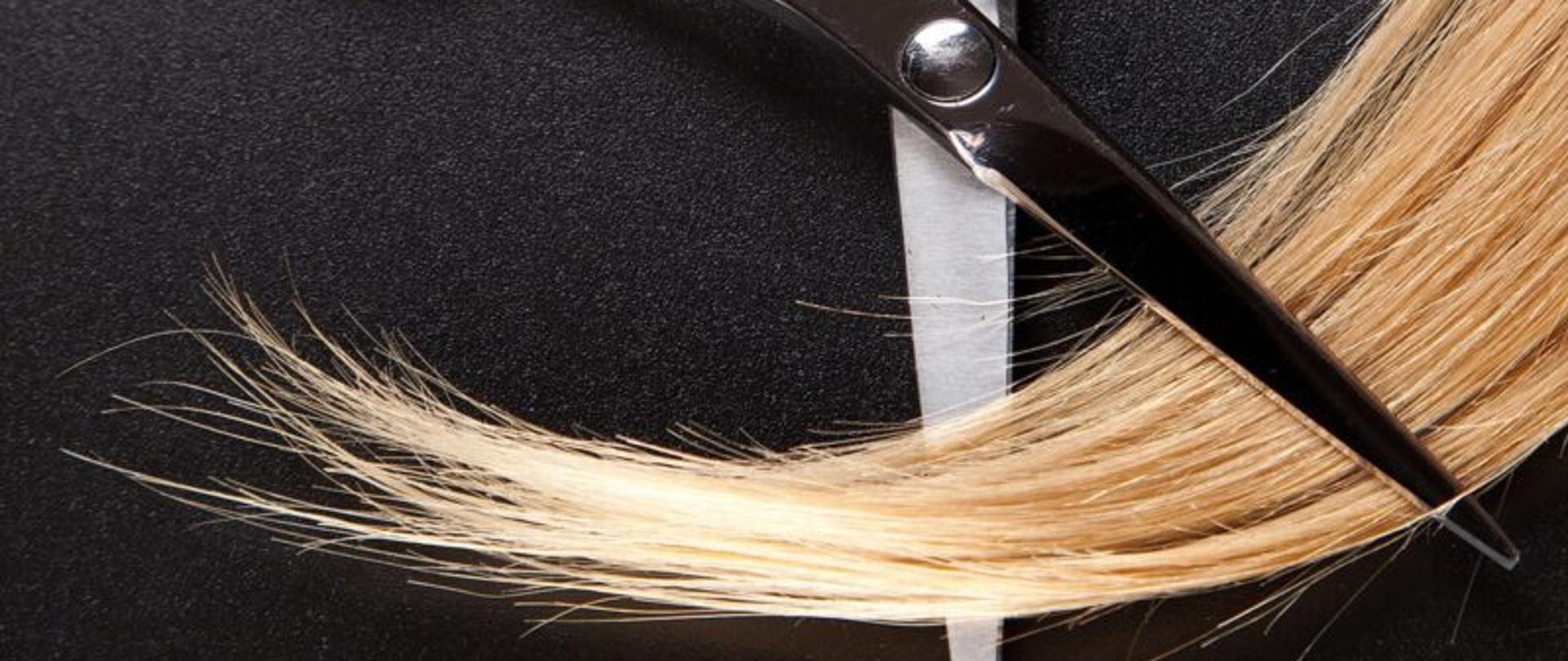 Zdjęcie przedstawia nożyczki wraz z włosami.