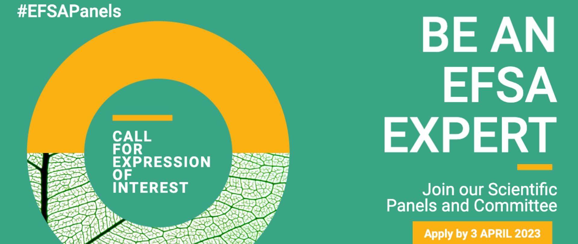 Grafika ilustracyjna - zostań ekspertem EFSA