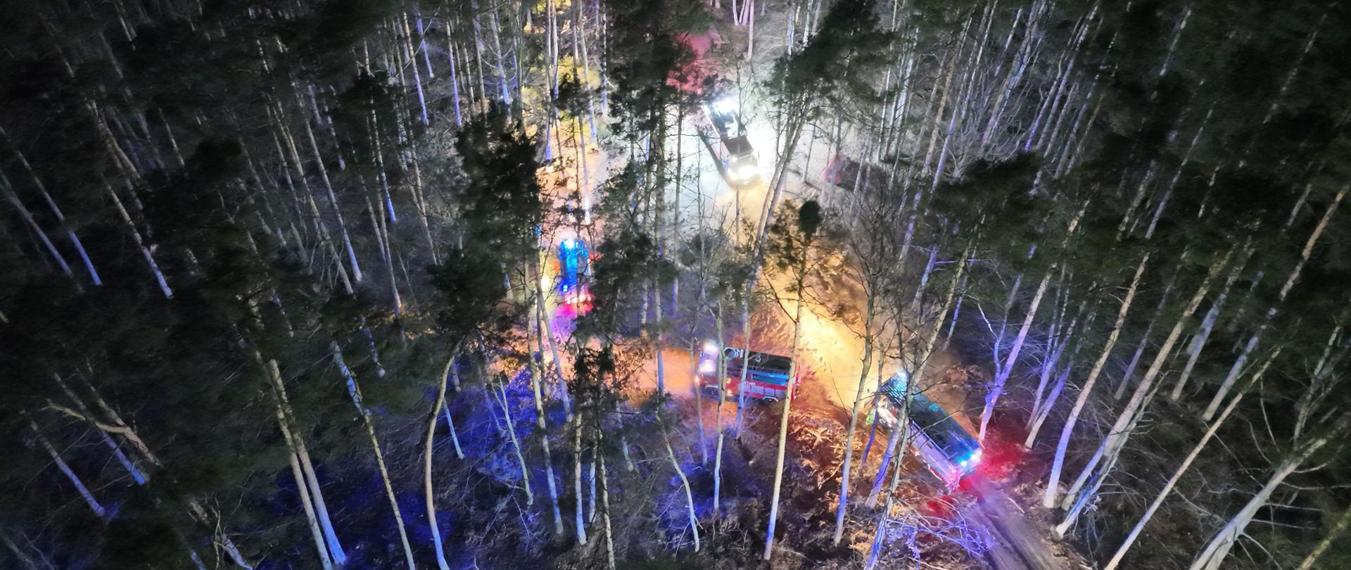 Pożar lasu w miejscowości Cewków – działania strażaków KP PSP Lubaczów