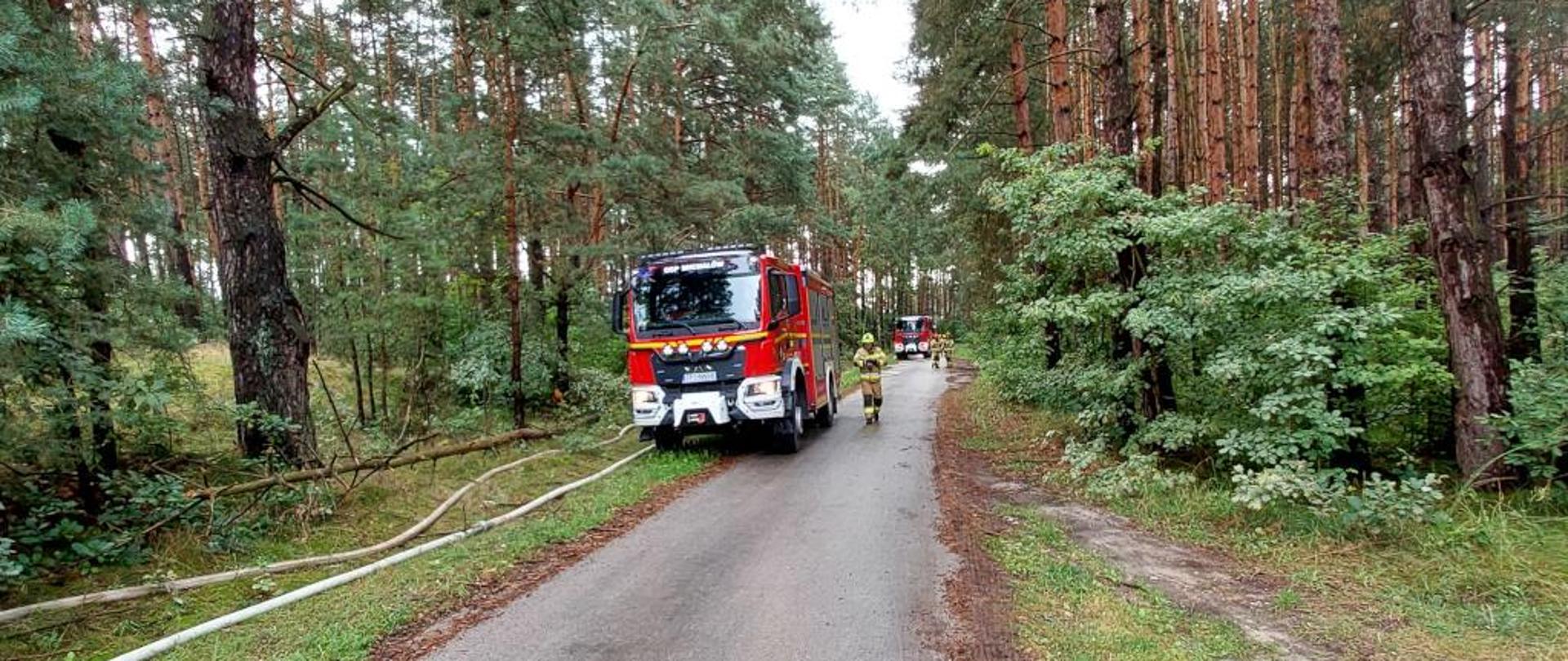 Strażacy podczas ćwiczeń w lesie.
