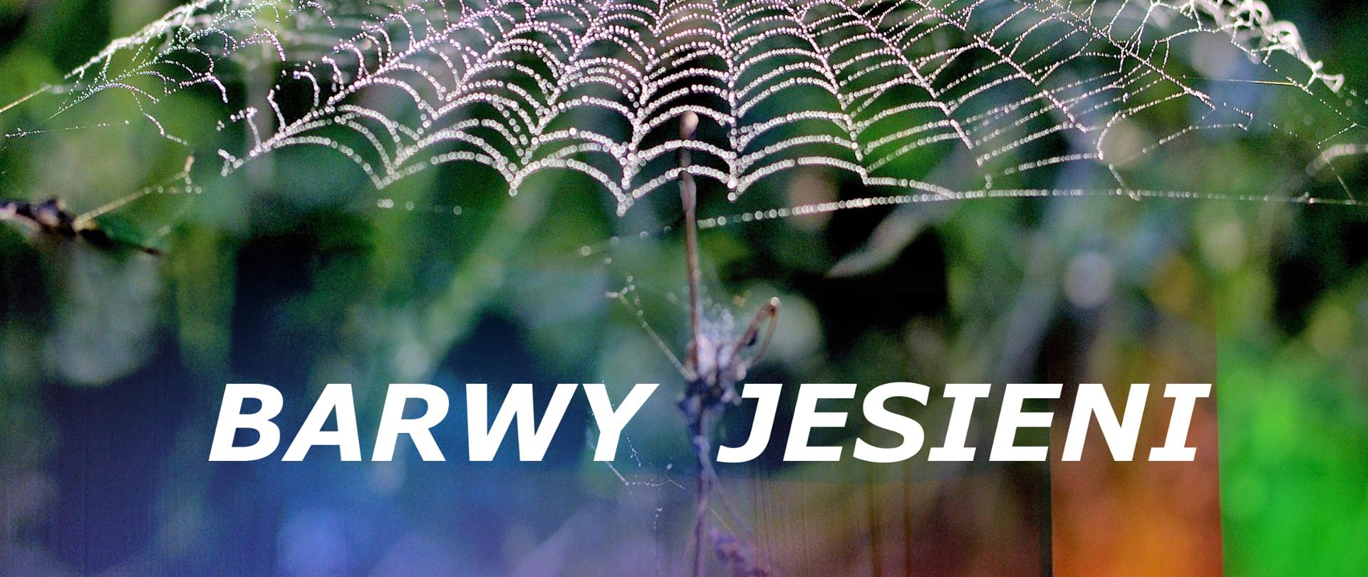 Plakat Barwy jesieni, fortepian i parasol z pajęczyny