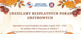 Logo Państwowej Inspekcji Sanitarnej z hasłem ,,Chronimy zdrowie z myślą o przyszłości"
Plakat zawierający informacje: Udzielamy bezpłatnych porad grzybowych
Zapraszamy od poniedziałku do piątku w godz. 8:30-15:05 do siedziby PSSE w Przysusze, ul. Szkolna 7
(po uprzednim kontakcie telefonicznym pod nr 48 675 24 22)
Uwaga! Oceniamy tylko grzyby świeże, najpóźniej do 48 godzin od zbioru.