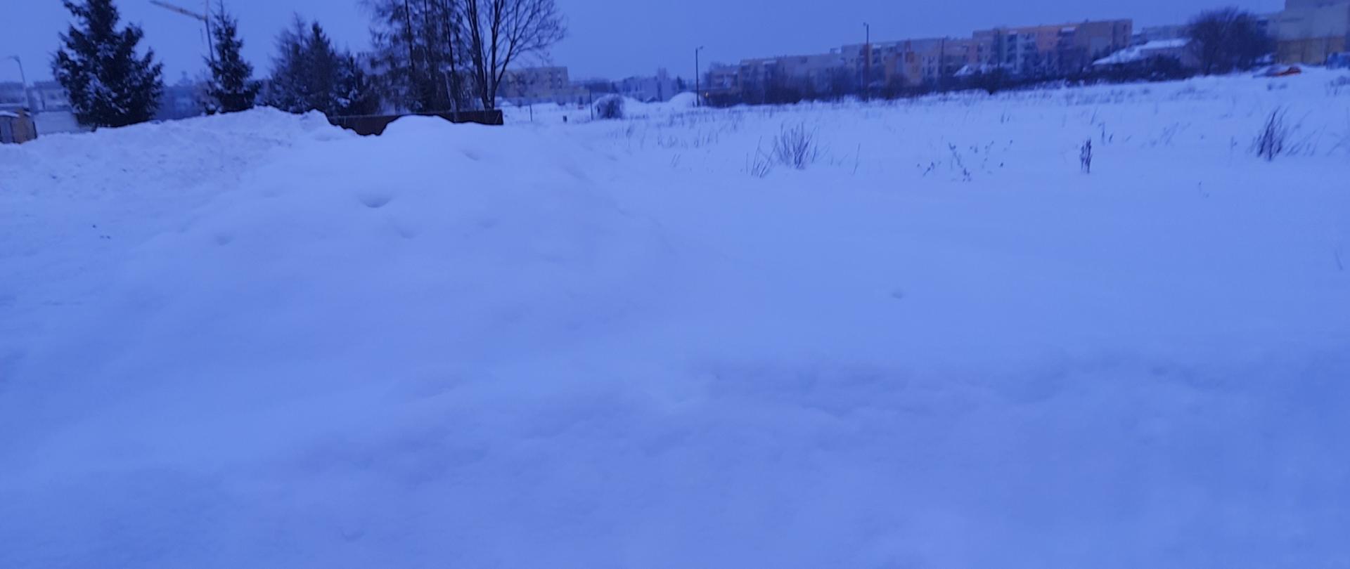 Na zdjęciu widoczny śnieg w tle drzewa i budynki