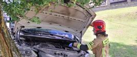 Strażak, który jest w trakcie odłączania akumulatora w pojeździe, który uderzył w drzewo.