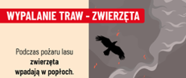 Plakat - nie wypalaj traw - zwierzęta