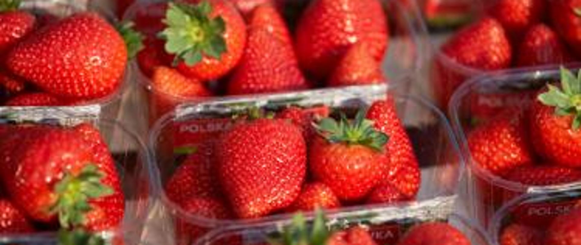 Truskawki
