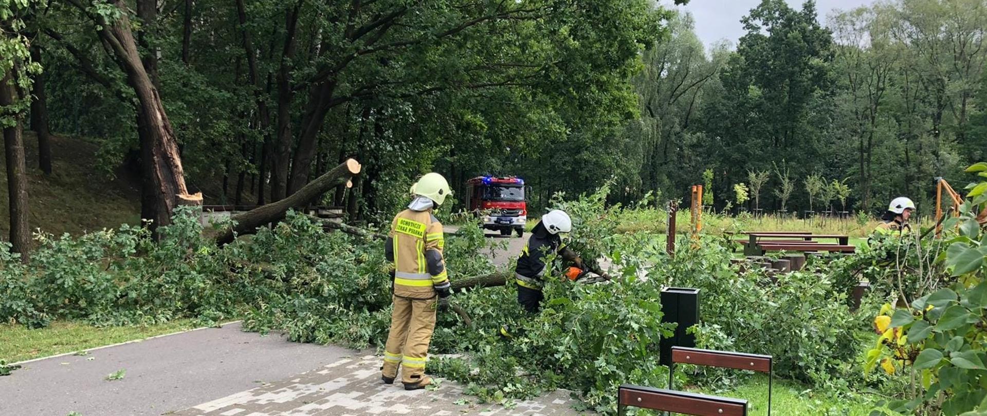 Park. Trzech strażaków w ubraniach specjalnych i hełmach usuwa z chodnika połamane przez gałęzie. W tle czerwony samochód straży pożarnej