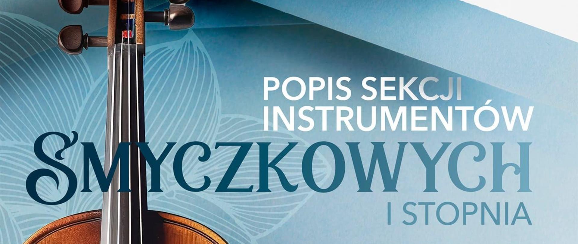 Popis sekcji instrumentów smyczkowych