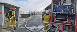 Zdjęcia przedstawia strażaków PSP oraz OSP podczas ćwiczeń obiektowych. Strażacy ubrani w ubrania specjalne koloru piaskowego, 