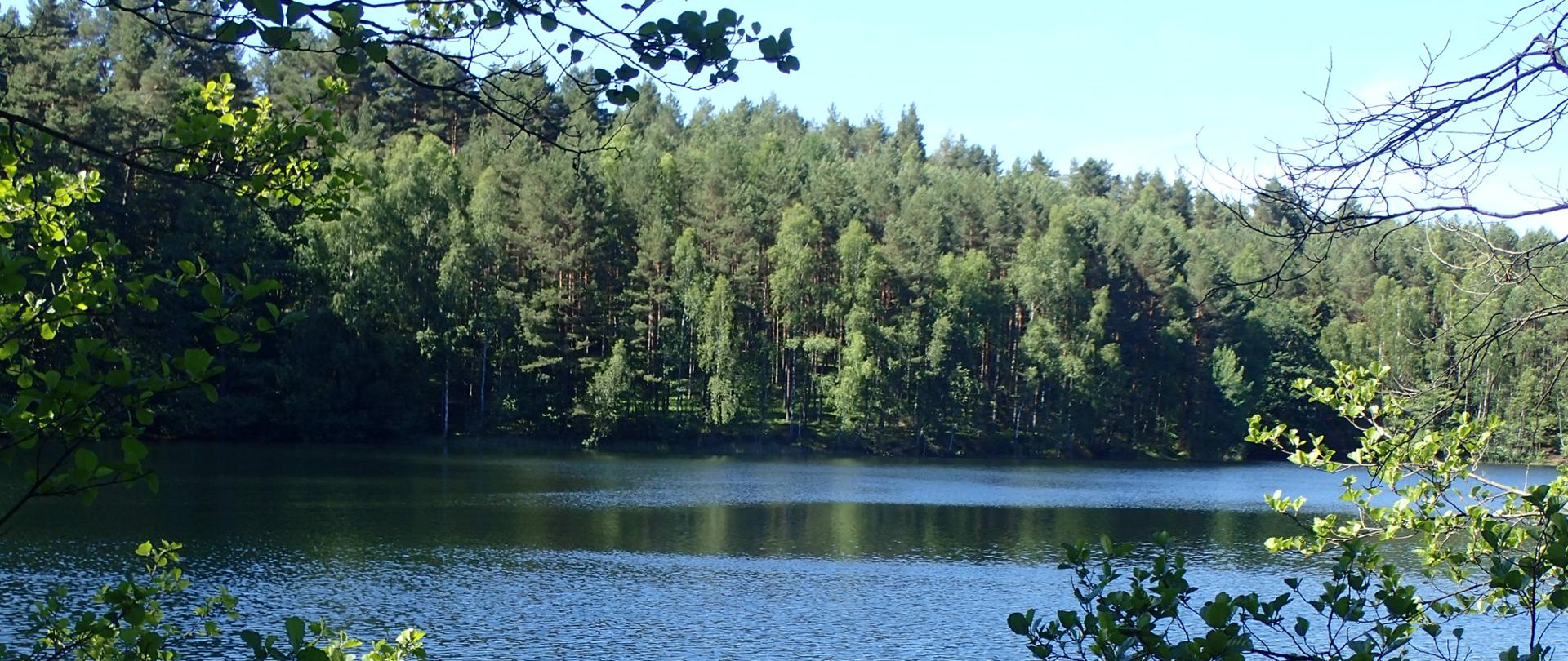 Widok na planowany rezerwat przyrody „Cztery jeziora koło Soszycy” 