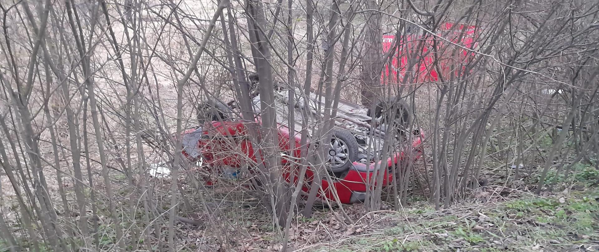 Samochód osobowy poza drogą do góry kołami za krzewami.