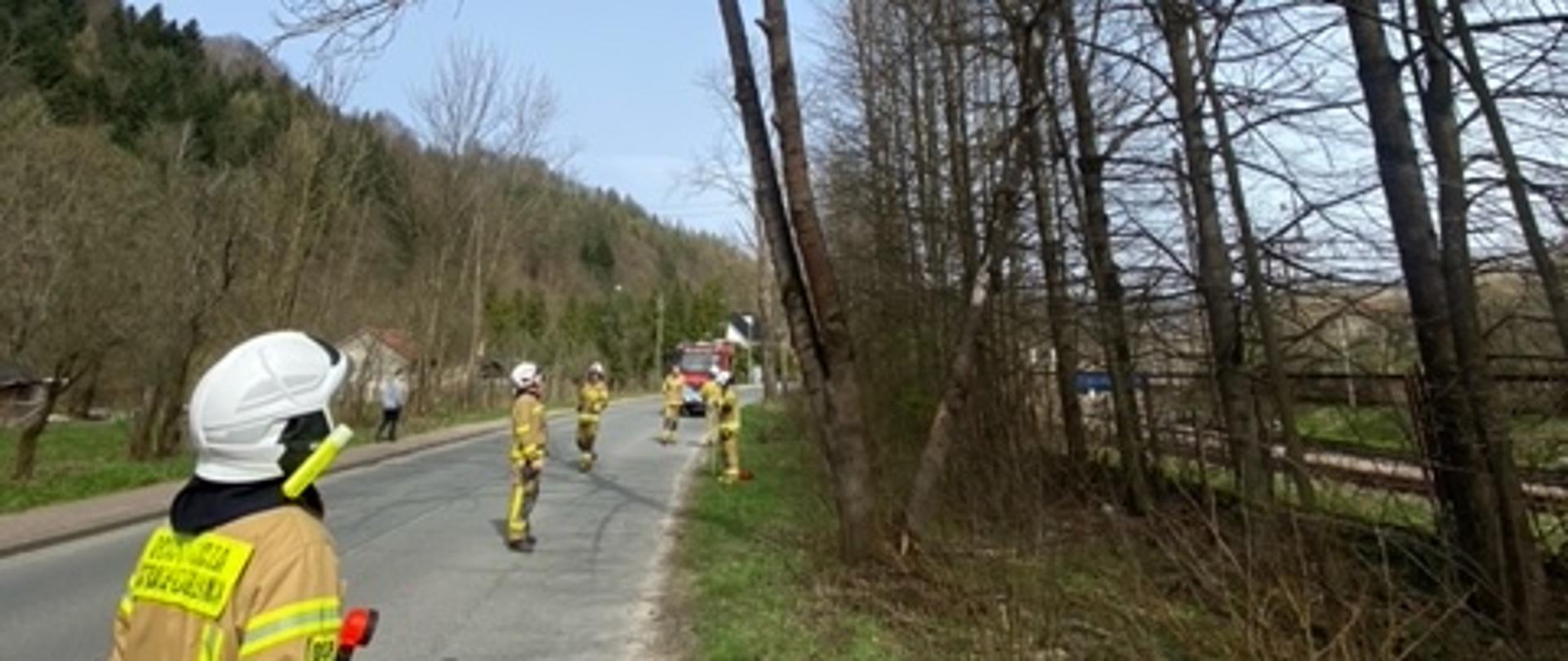 Strażacy na drodze i pochylone drzewo