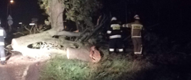 przewrócone drzewo blokuje drogę, strażacy przystępują do jego usuwania, 