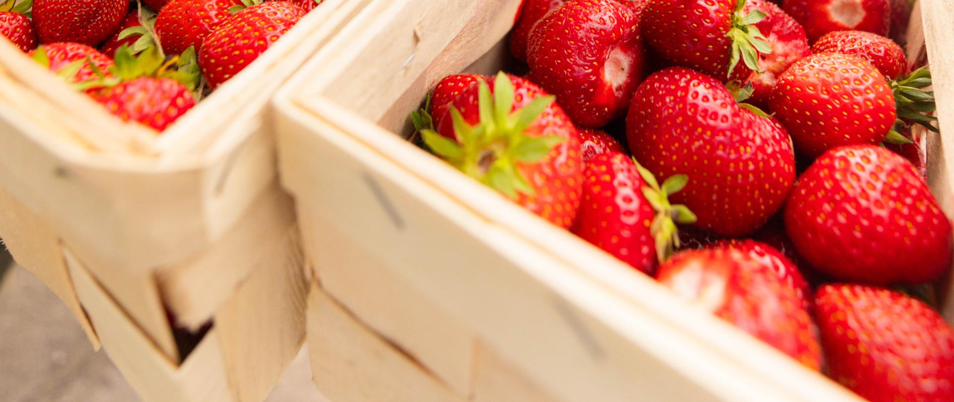 Truskawki - bohaterki święta w Buczku 