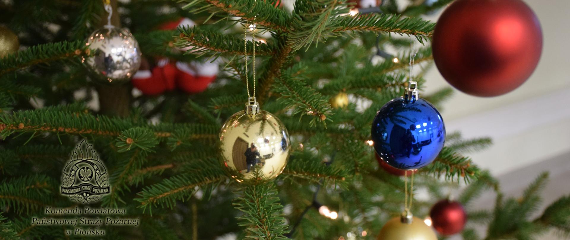 Fragment choinki bożonarodzeniowej. Na zielonych gałązkach świerku wiszą bombki w różnych kolorach. 