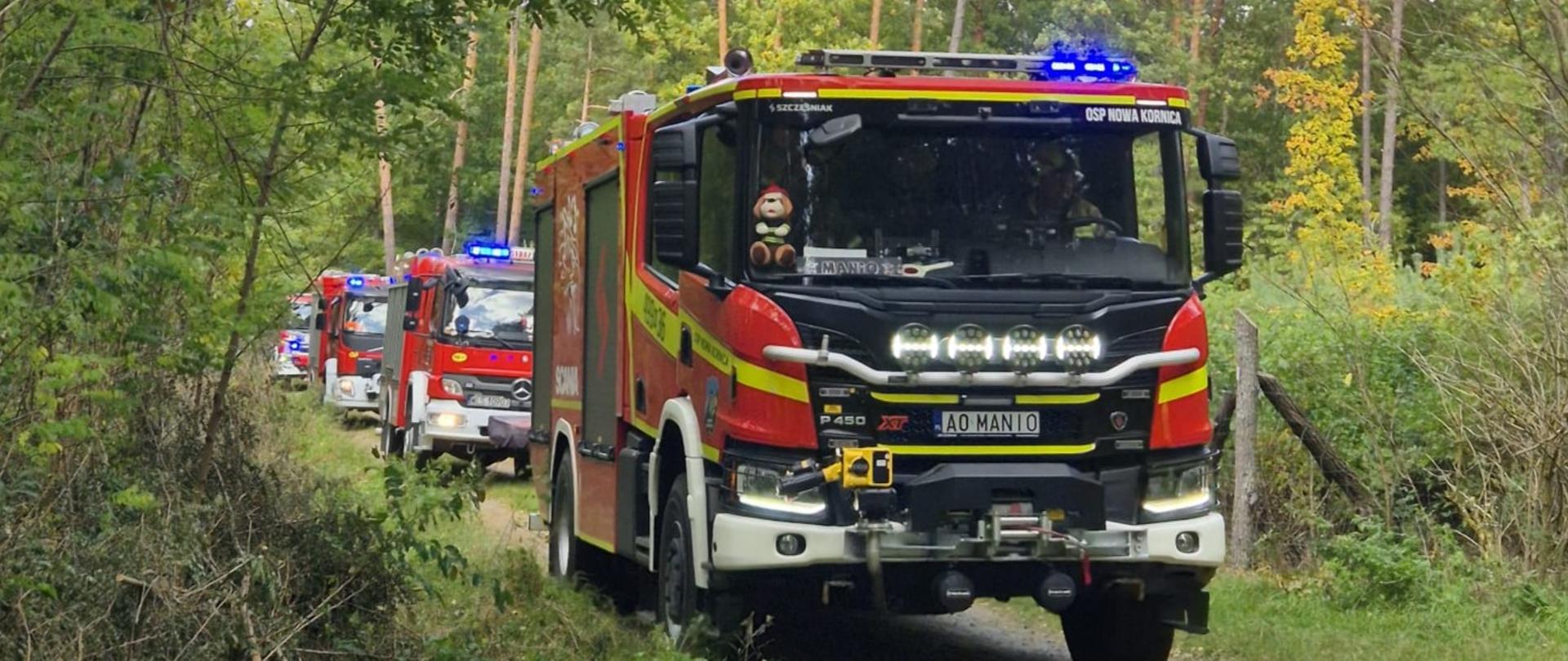 Kolumna czerwonych samochodów strażackich z włączonymi sygnałami świetlnymi porusza się leśną drogą w otoczeniu drzew podczas ćwiczeń MĘŻENIN dwa tysiące dwadzieścia sześć.