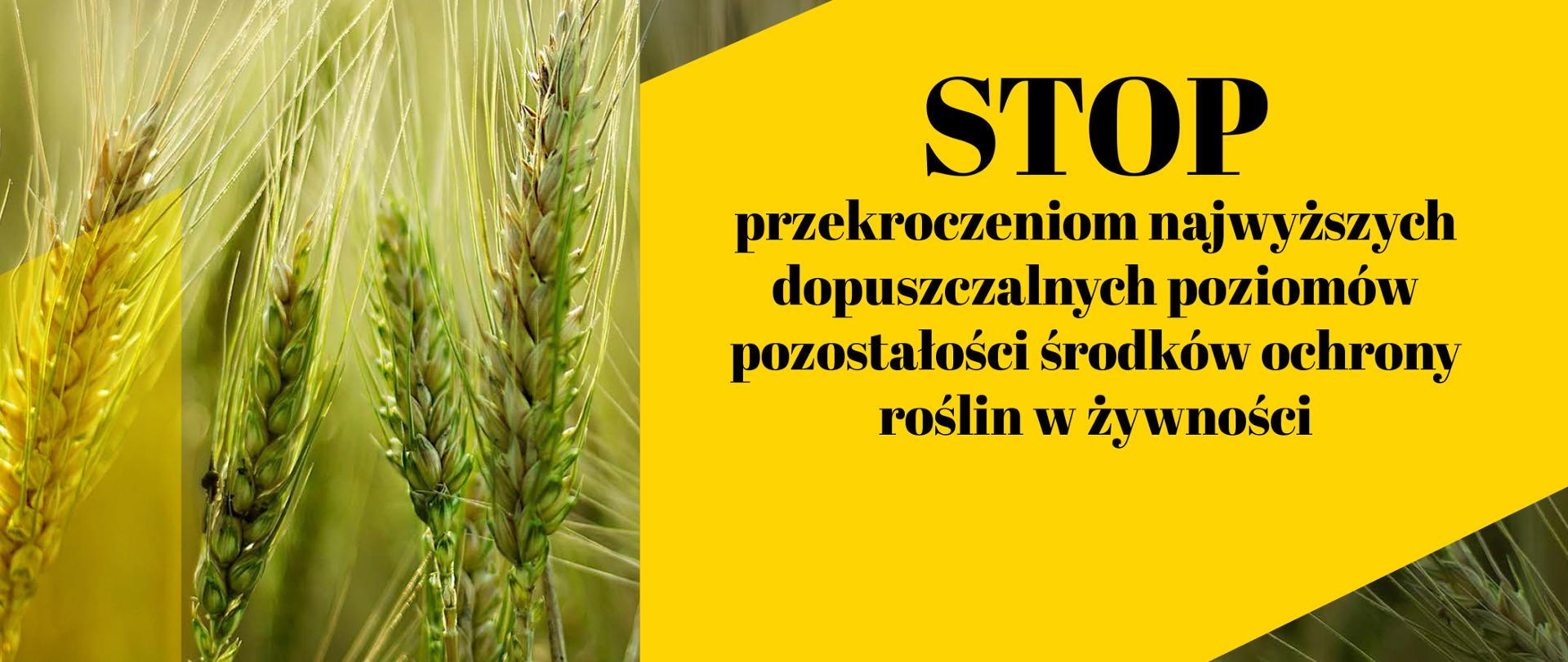 normy i przepisy środków ochrony roślin