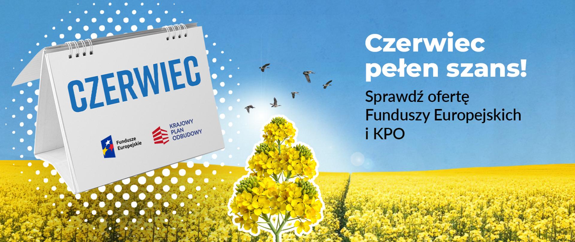 nabory_czerwiec_gov