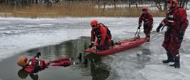 Trzech strażaków podejmuje poszkodowanego z przerębla z wykorzystaniem sprzętu ratowniczego i pływającego. 