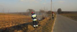 Strażacy na poboczu drogi przy użyciu tłumic gaszą pożar trawy.