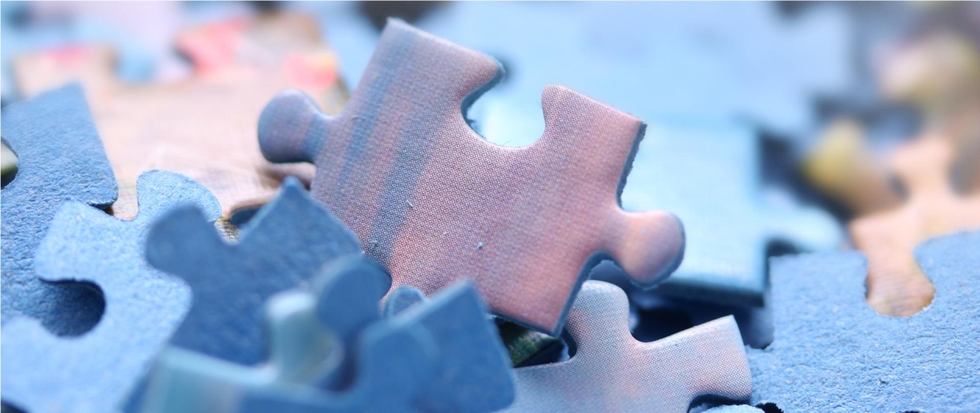 Grafika przedstawia rozsypane puzzle