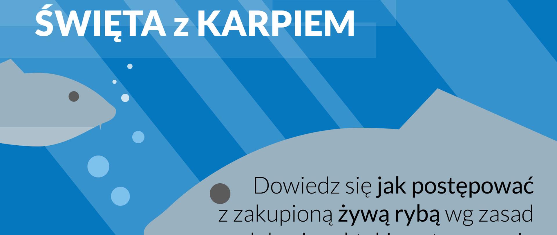 Święta z karpiem