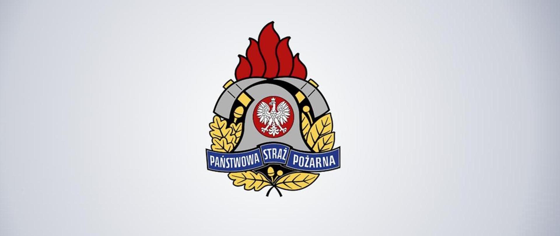 Obraz przedstawiający logo PSP 