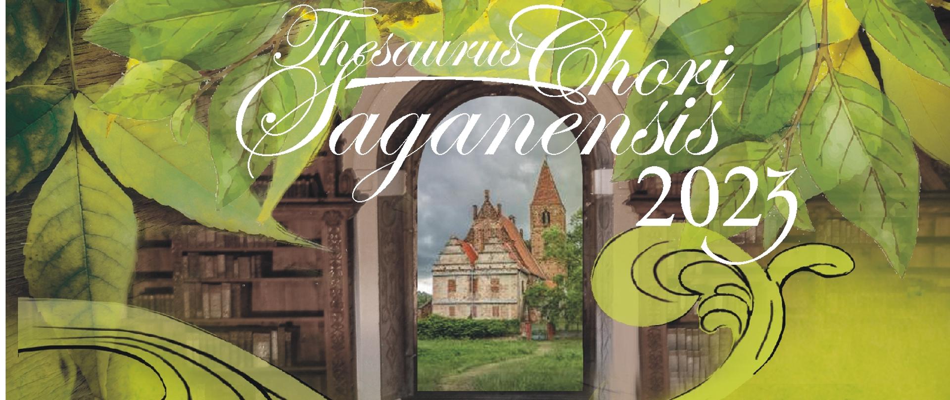 Na zielonym tle, w centralnej części zdjęcie kościoła pod wezwaniem Wniebowzięcia Najświętszej Maryi Panny w Żaganiu. W centralnej części nazwa zespołu: Cappella Viridimontana, niżej na brązowych poziomych paskach nazwy wykonawców oraz program koncertu. Na dole, na białym pasku logotypy partnerów projektu.