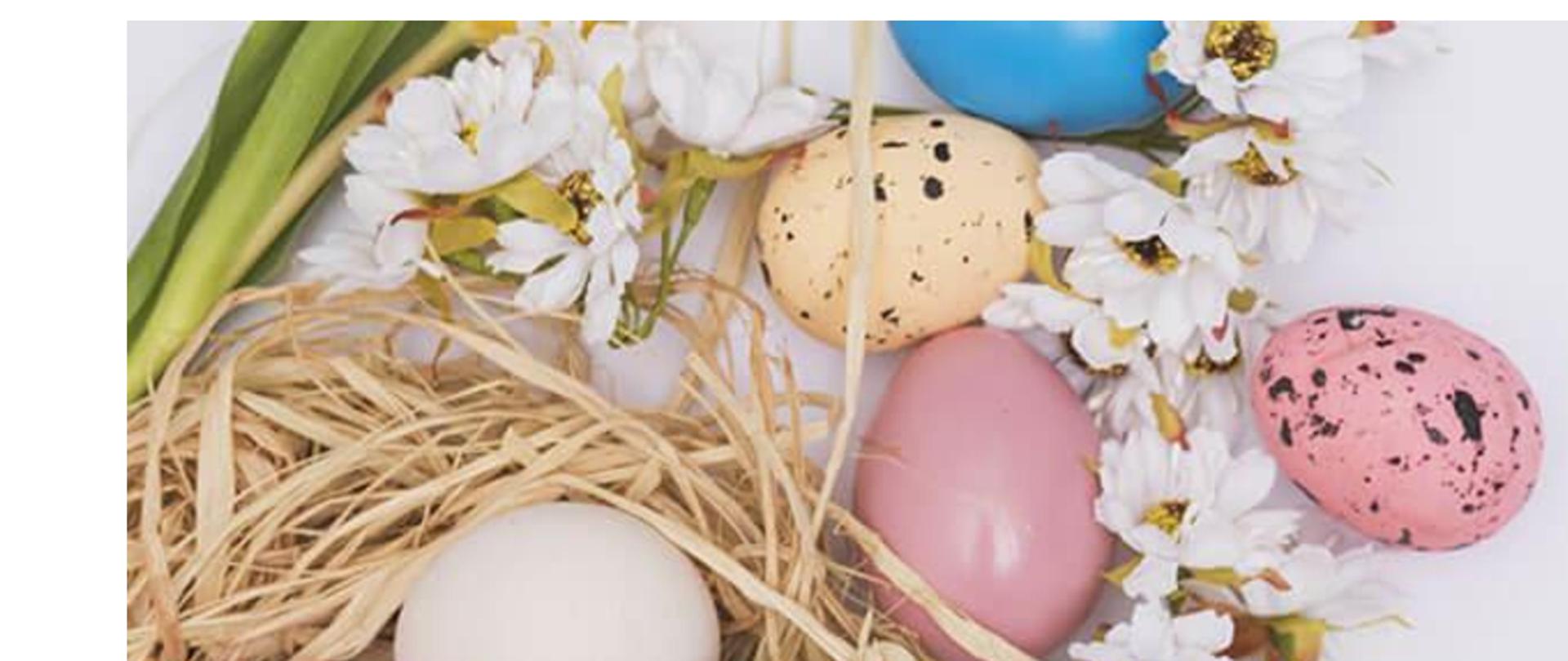 kartka wielkanocna z kwiatami jajkami oraz z życzeniami od komendanta powiatowego psp w brzezinach