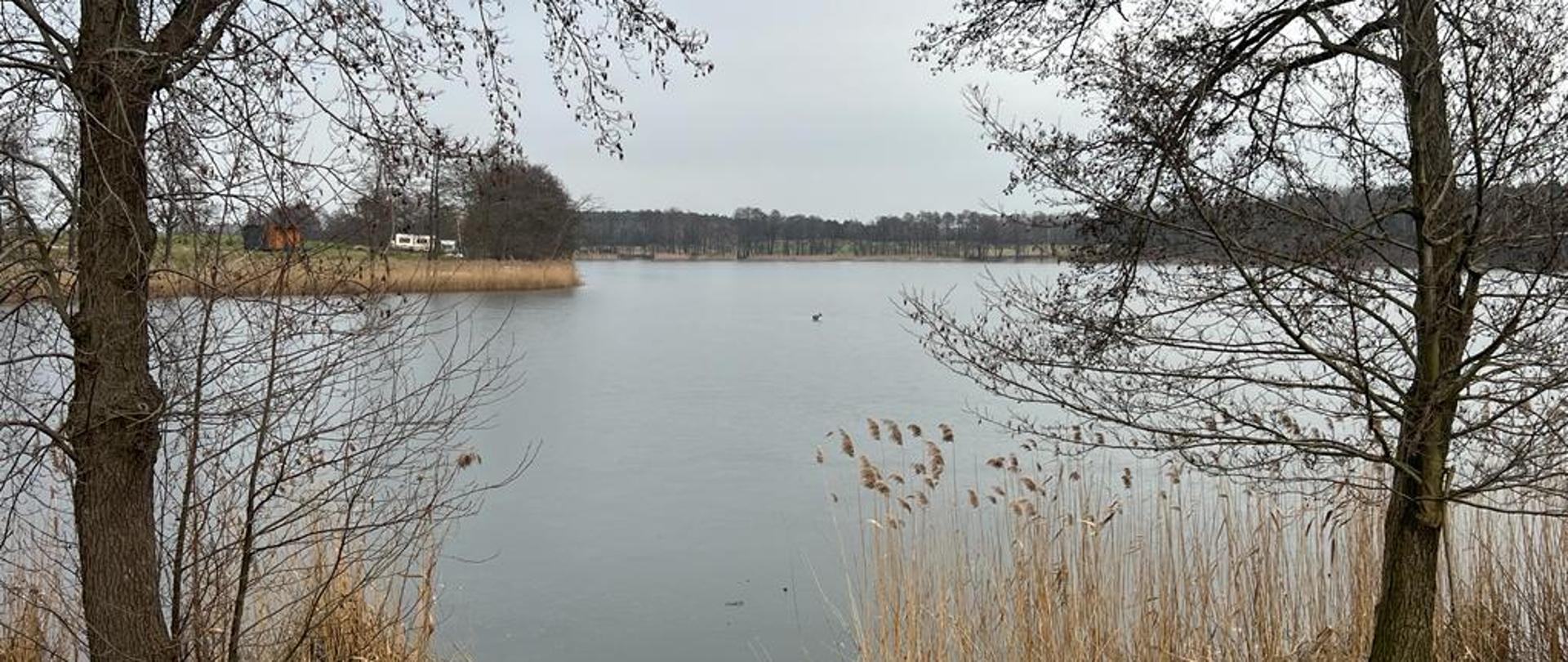 Na zdjęciu sarna na tafli lodowej na zamarzniętym zbiorniku