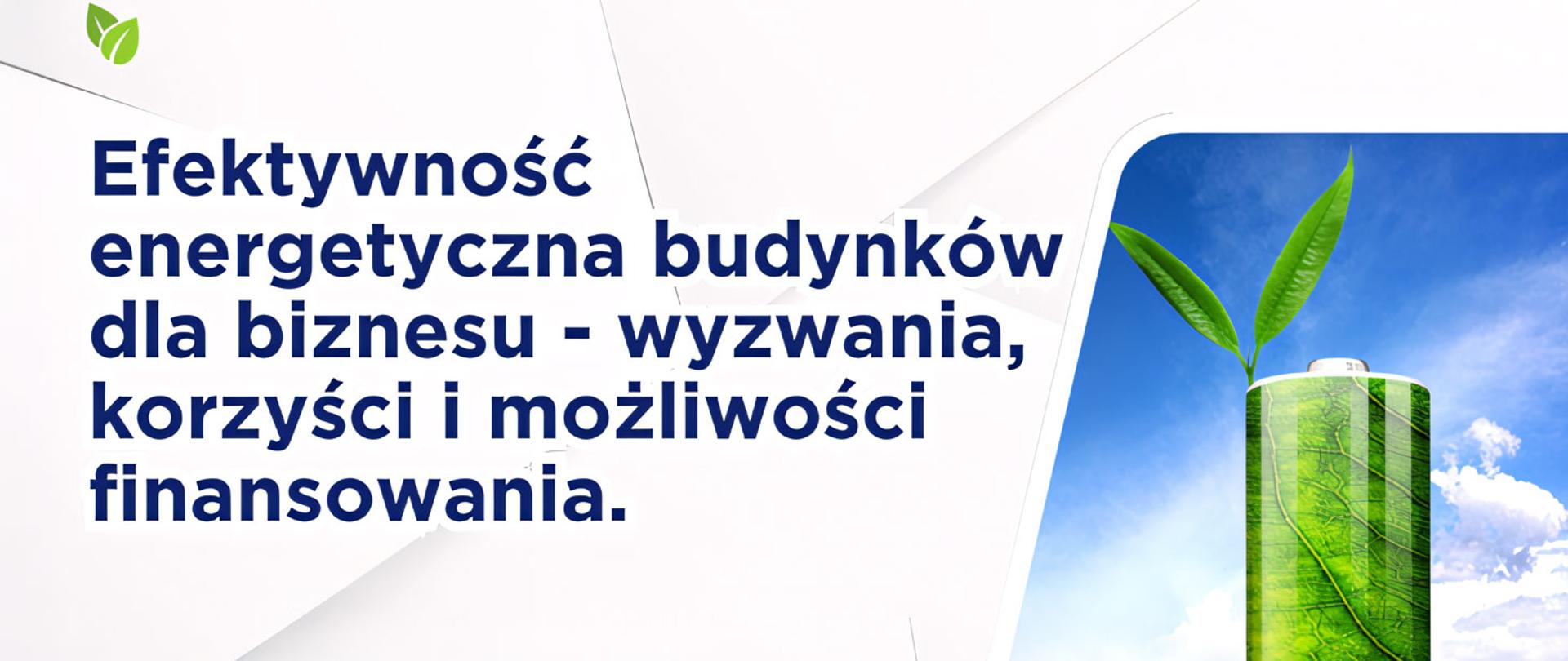 Efektywność energetyczna budynków dla biznesu - wyzwania, korzyści i możliwości finansowania