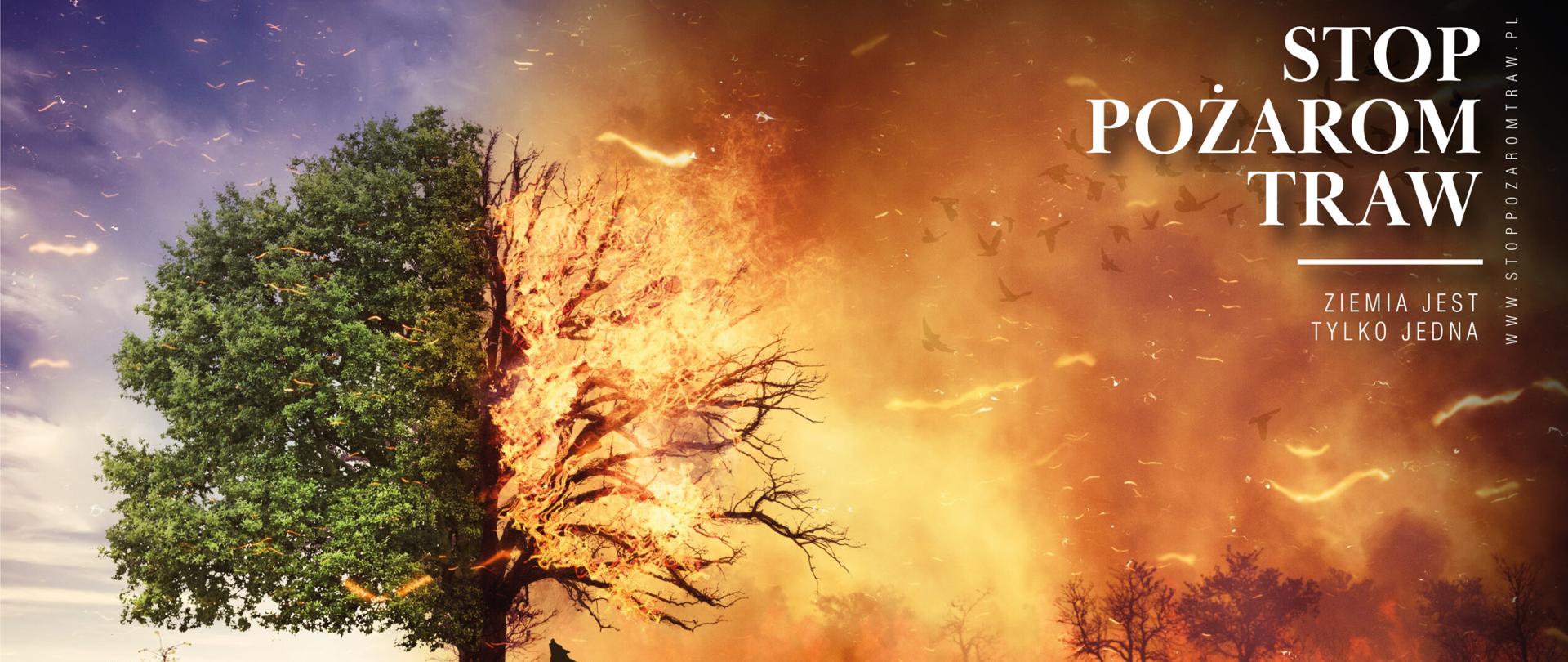 Infografika "stop pożarom traw". Grafika przedstawia polanę z drzewami, po lewej stronie zielona i tętniąca życiem, po prawej paląca się i zniszczona przez ogień. W tle widoczne sylwetki zwierząt leśnych i ptaków, a także kłęby dymu unoszące się w górę. U góry po prawej stronie napis "Stop pożarom Traw", pod spodem "Ziemia jest tylko jedna" . Na dole po prawej stronie Logotypy Komendy Głównej Straży Pożarnej, Ministerstwa Spraw Wewnętrznych i Administracji, Stop Pożarom Traw oraz Lasów Państwowych.