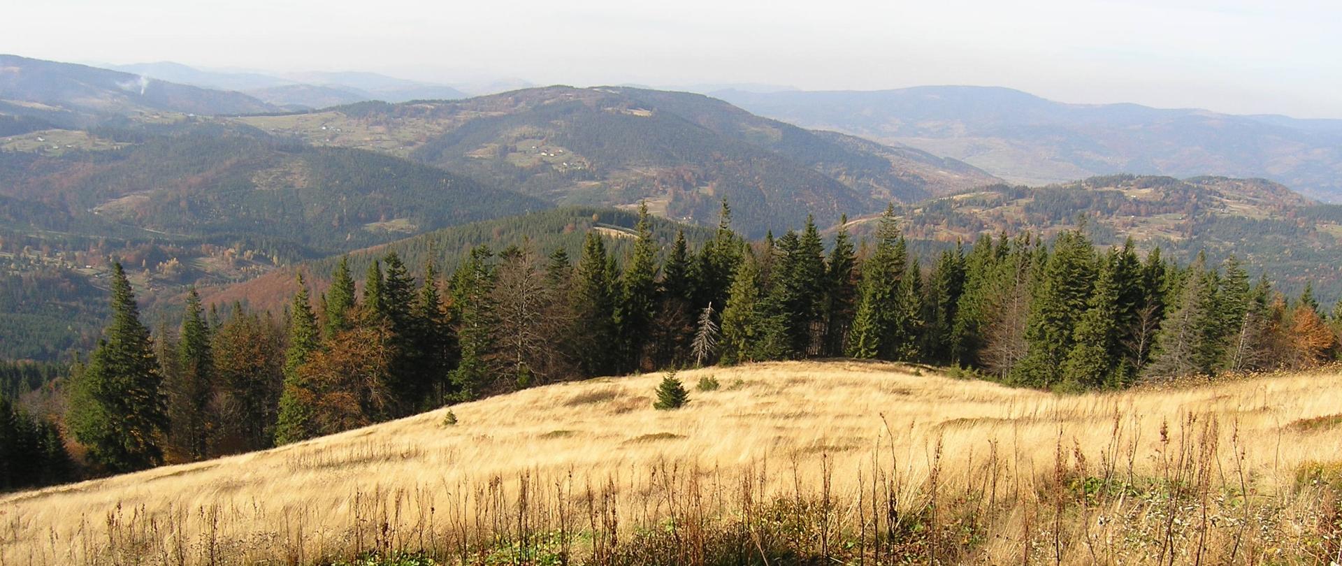 Zdjęcie przedstawia fragment rezerwatu: łąkę na zboczu góry, za nią linie lasu, w oddawali widok gór