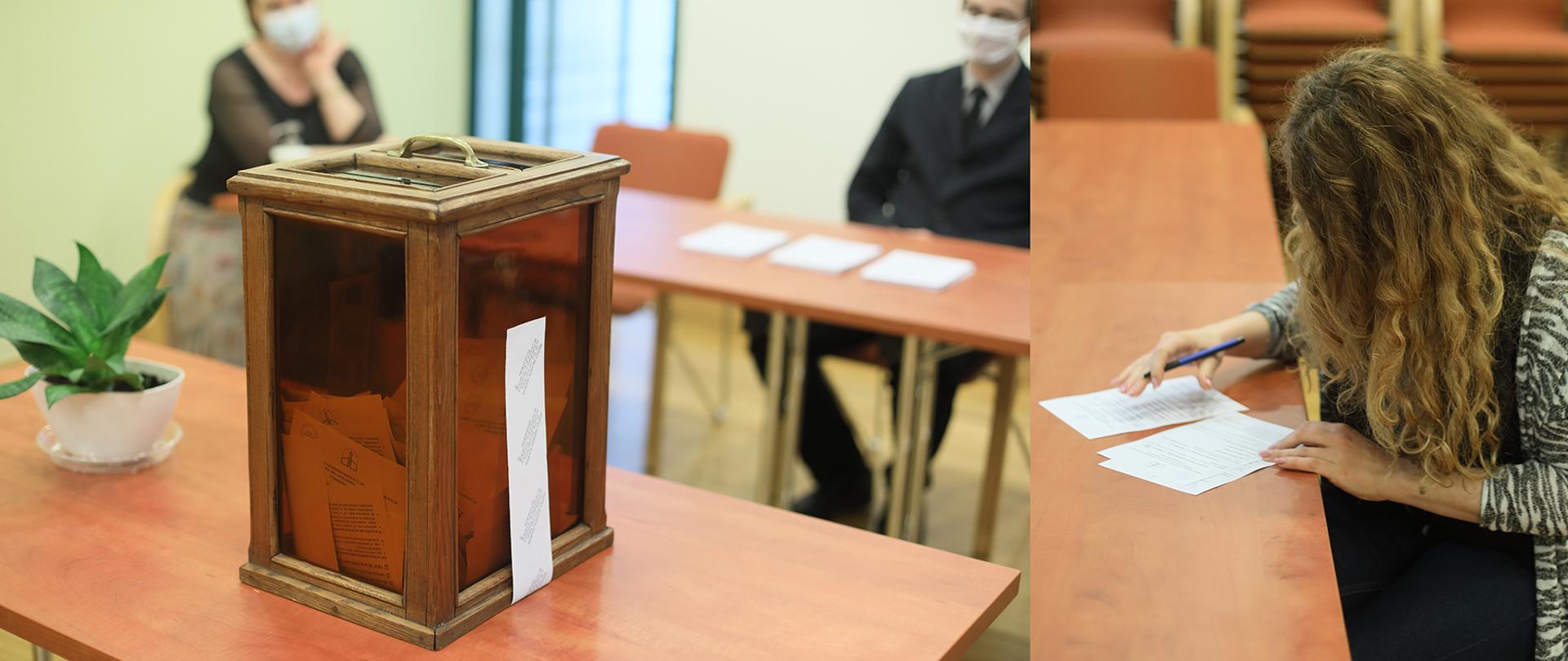 Wybory do Rady Naukowej